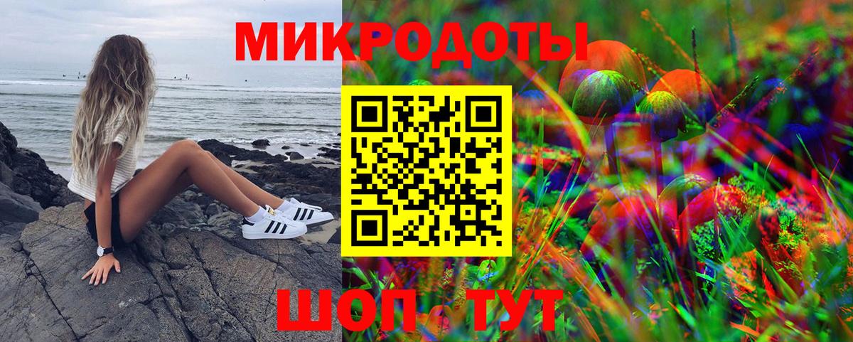 Балашов  где можно купить наркотик  Галлюциногенные грибы Psilocybe  Вход с VPN  Псилоцибиновые грибы Psilocybine cubensis 